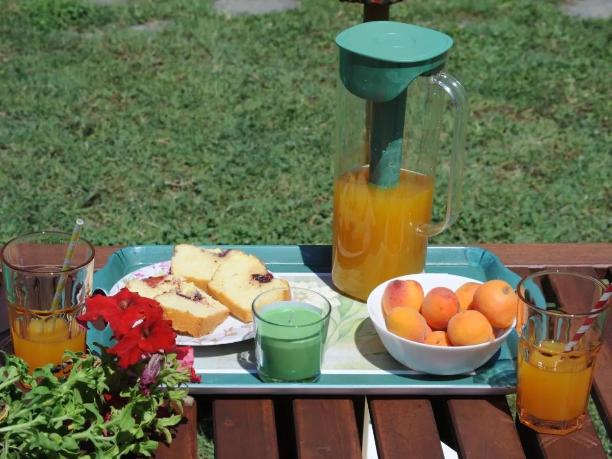 Tenedos Home By Travelpro Services Halkidiki Nea Tenedhos