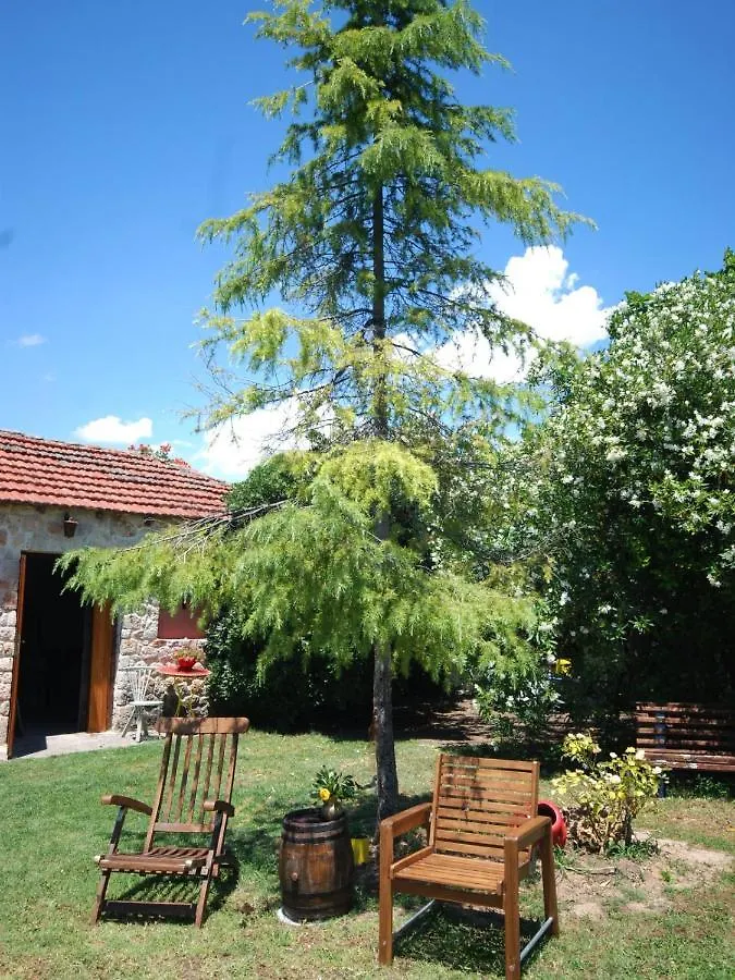 Tenedos Home By Travelpro Services Halkidiki Nea Tenedhos