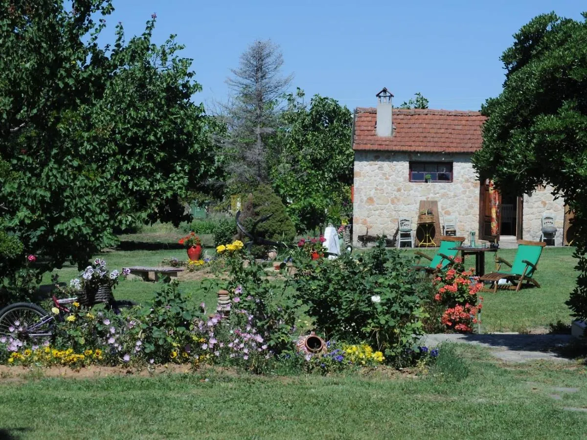 Tenedos Home By Travelpro Services Halkidiki Nea Tenedhos Grecia