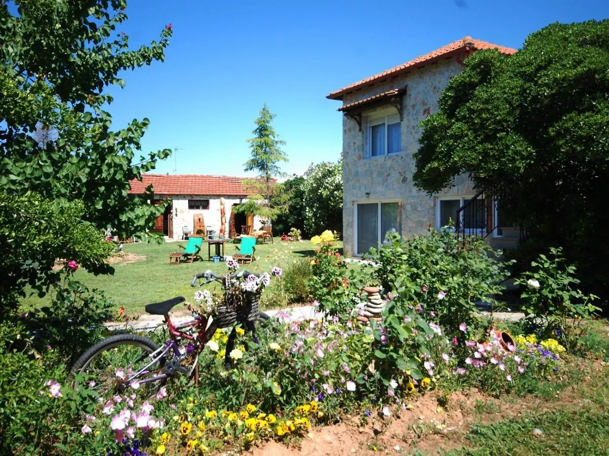 Casă la țară Tenedos Home By Travelpro Services Halkidiki Nea Tenedhos Grecia
