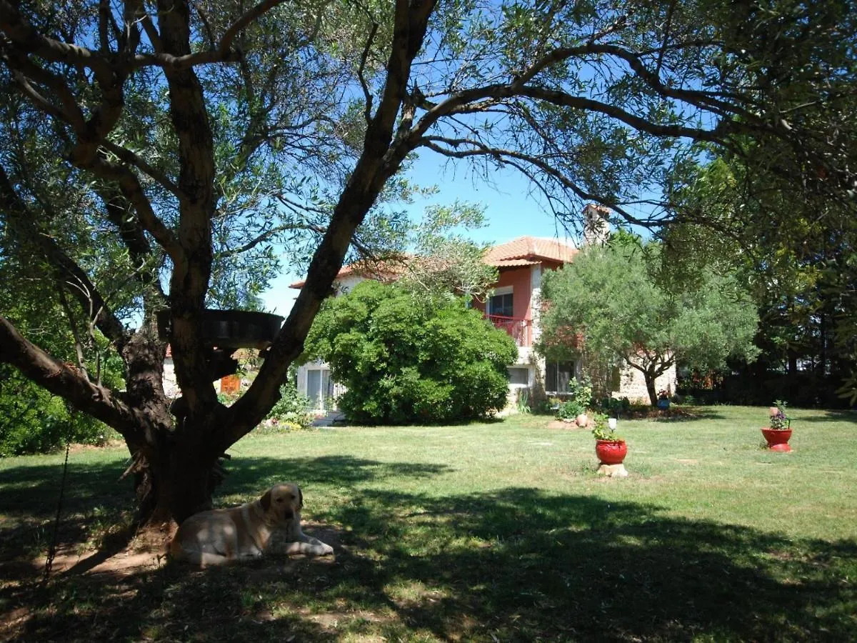 Tenedos Home By Travelpro Services Halkidiki Nea Tenedhos Casă la țară